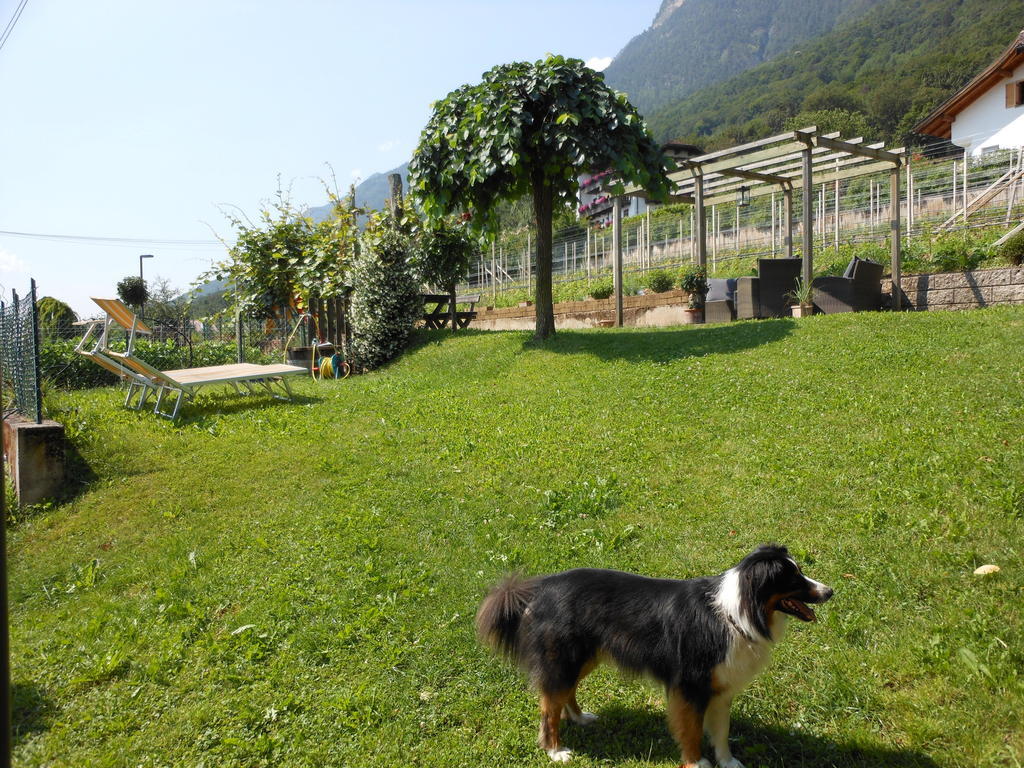 Appartement Haus Tirol à Caldaro Extérieur photo